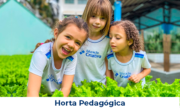 horta pedagogica