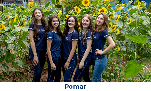 pomar